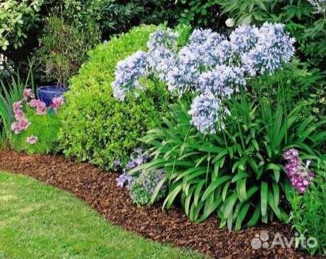 Кора Сосны Кора Лиственницы Мульча