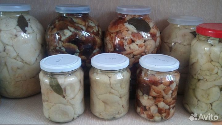 Солёные грибочки белянки и валуи