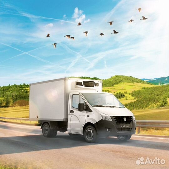 Водитель-экспедитор на Газель Некст предприятия