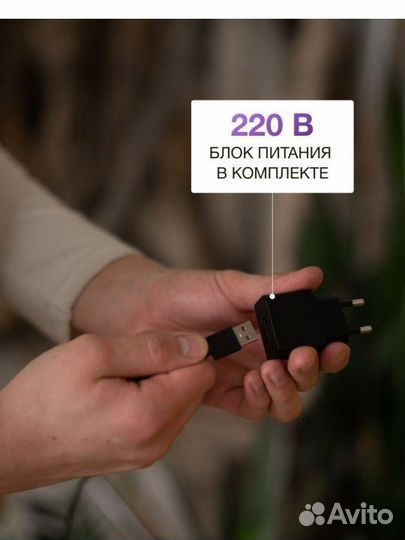 Фитолампа для растений