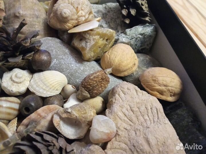 Природные материалы для поделок