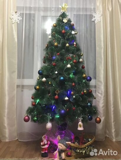 Сосна с инеем и шишками