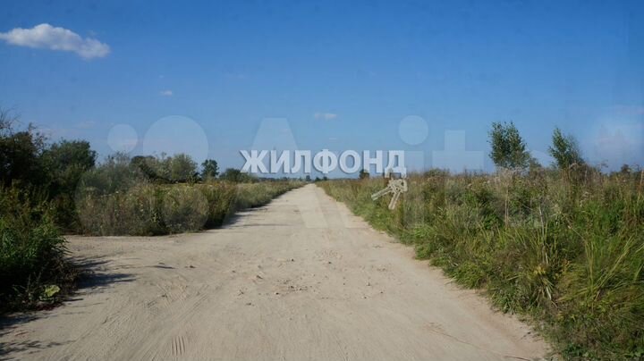 Участок 24 сот. (СНТ, ДНП)