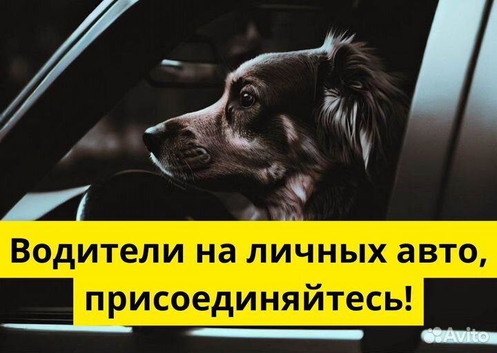 Нужен водитель в Яндекс Go