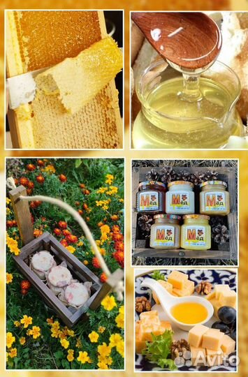 С нашей пасеки мёд колоды ульи борти пчёлки