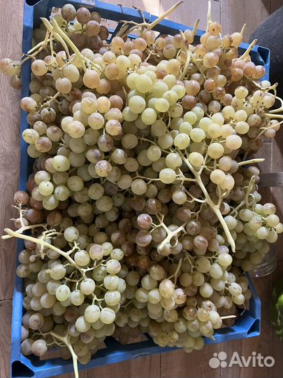 Виноград свежый