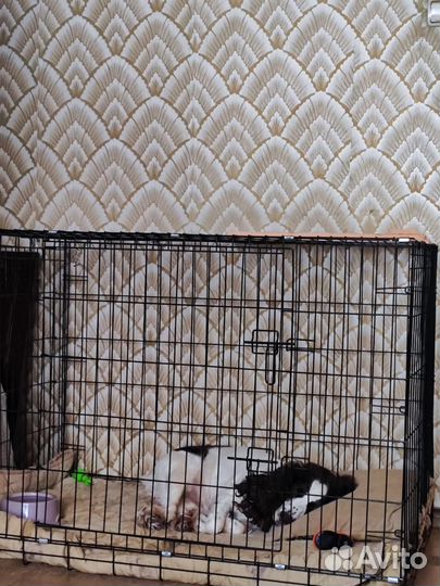 Клетка для собак