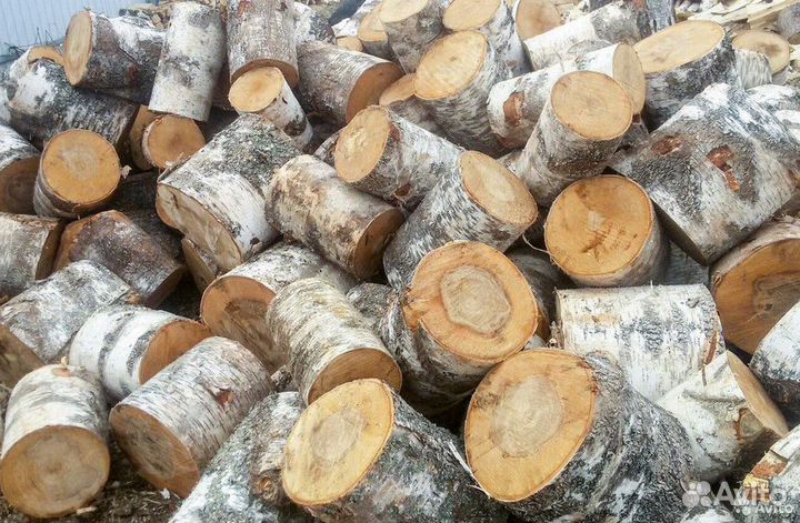 Продам Дрова берёзовые