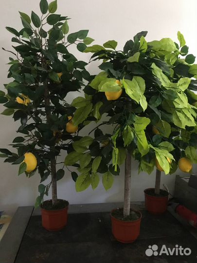 Искусственное дерево в горшке