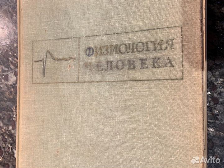 Физиология человека Е Б Бабский