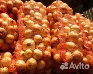 Лук репчатый Оптом от 1тонны Объёмы есть