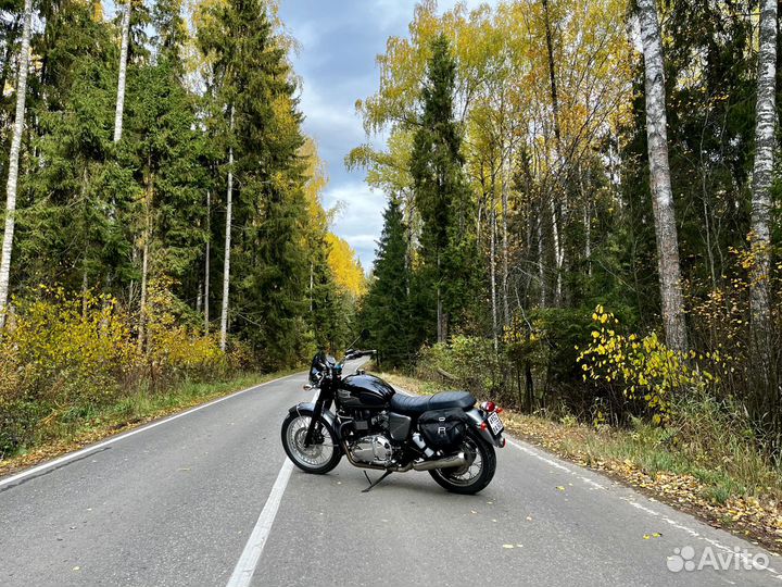 Triumph Bonneville T100