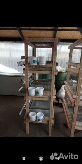 Клетки для кур несушек