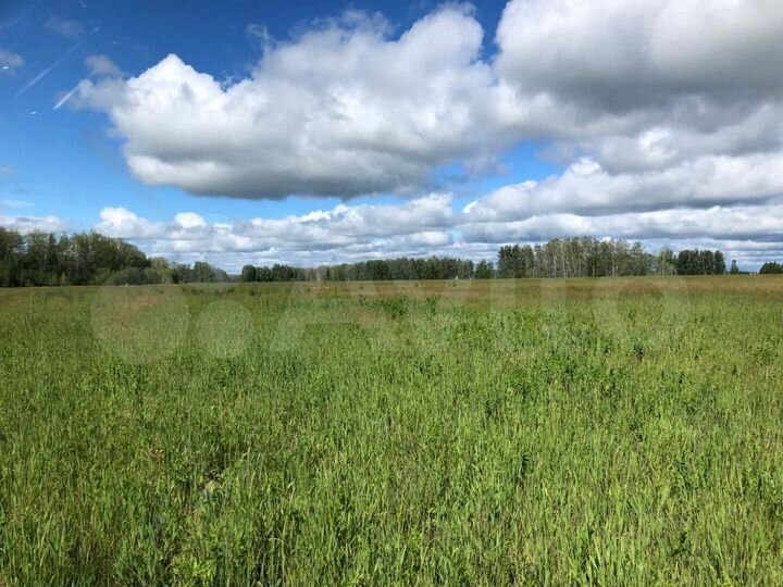 Участок 633 га (СНТ, ДНП)