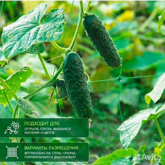 Шпалерная сетка 2х10