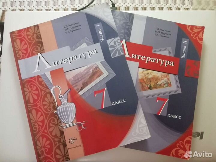 Литература Москвин 7 класс