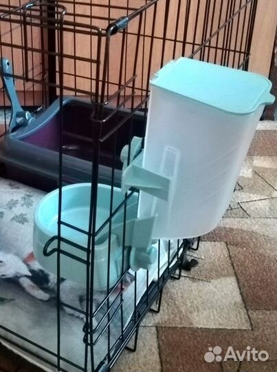 Автоматическая кормушка для домашних животных