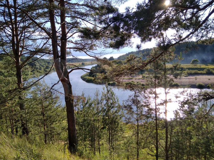 Участок 1100 га (ИЖС)