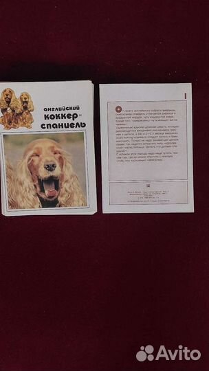 Наборы открыток СССР