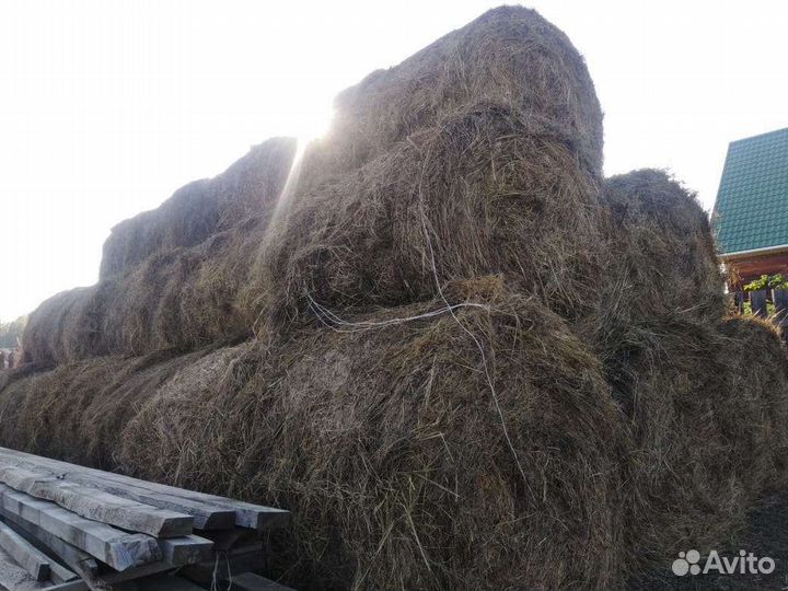 Сено в тюках