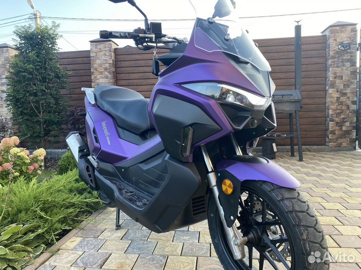 Леопард про