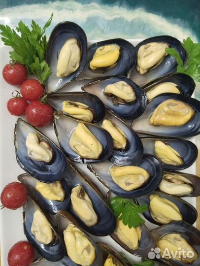 Мидии и устрицы черноморские