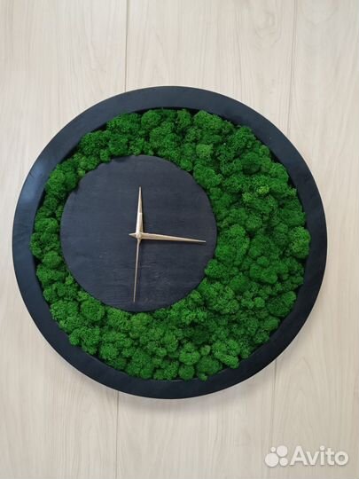 Мох стабилизированный оптом и в розницу