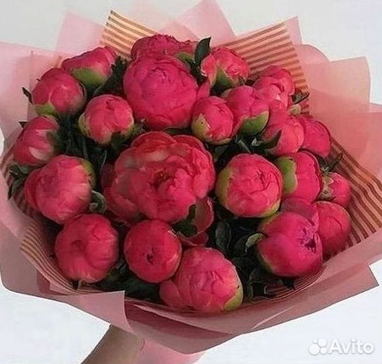 Пионы Цветы Доставка