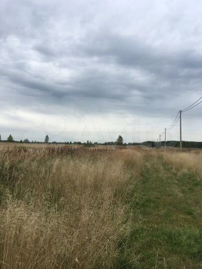 Участок 12 сот. (ИЖС)