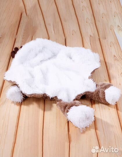 Одежда для животных