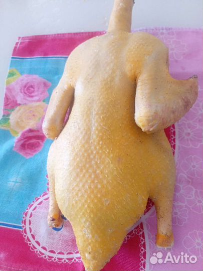 Утка,Мулард, домашняя