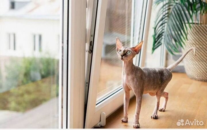 Балкон пластиковый