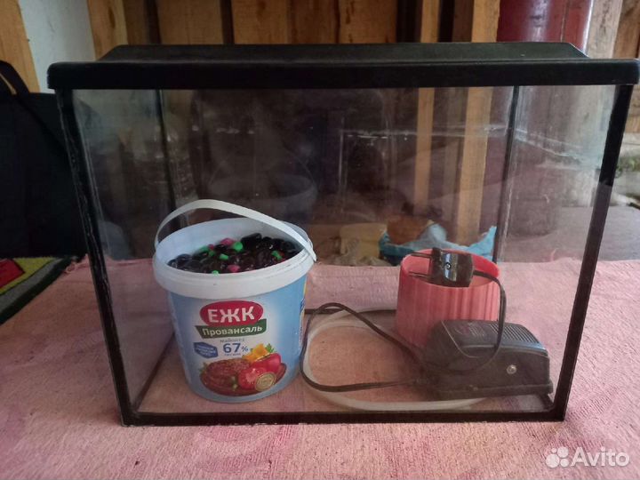 Аквариум с камнями и фильтром