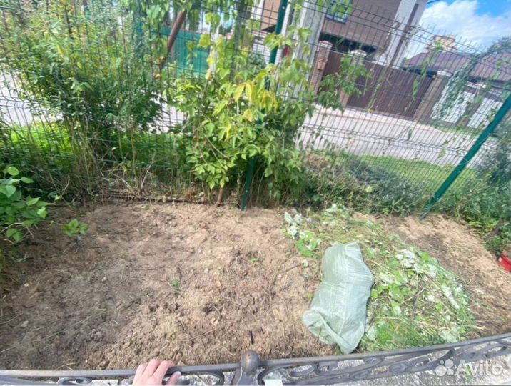 Рулонный газон для небольшого участка