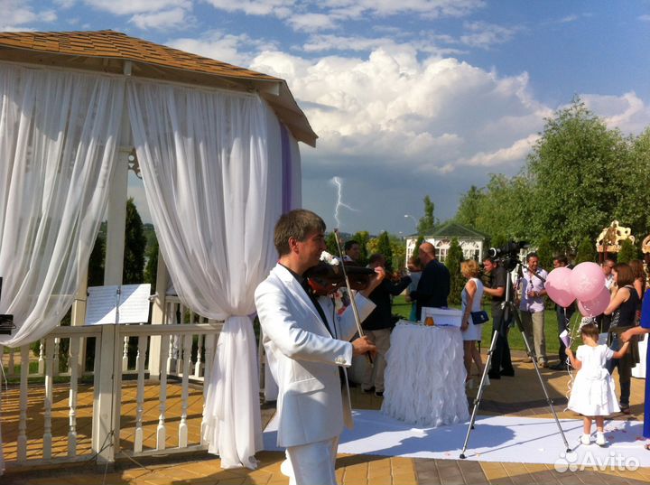 Скрипач на торжество. Скрипка на праздник