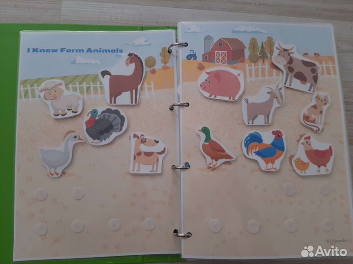 Лэпбук на английском языке