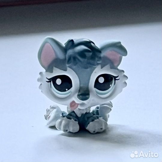 Littlest Pet Shop lps лпс хаски