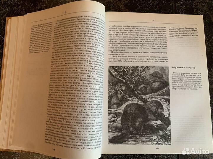 Жизнь животных. Брем Альфред Эдмунд 2004