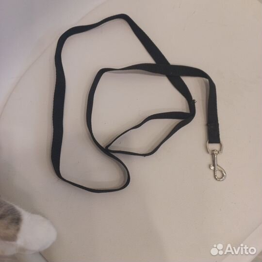 Шлейка с поводком для мелких пород собак и кошек