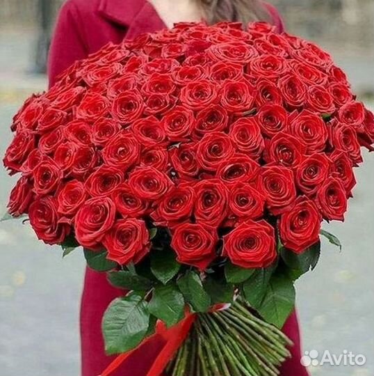 Высокие розы Гигантские Розы 150 160 170 180 190см