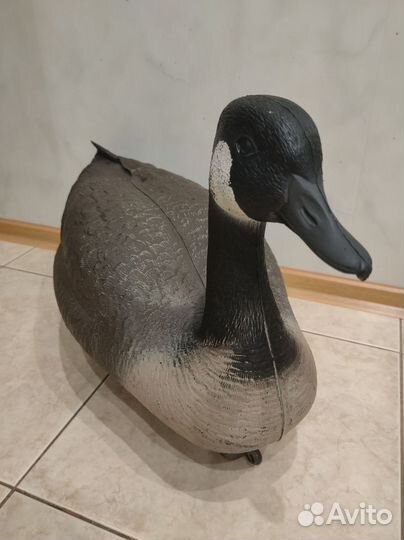 Подсадные гуси 2 шт