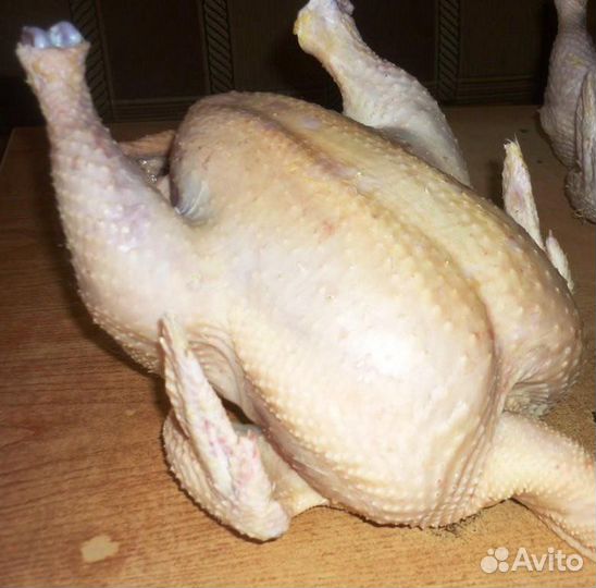 Мясо домашнего бройлера