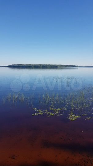 Участок 4,59 га (СНТ, ДНП)