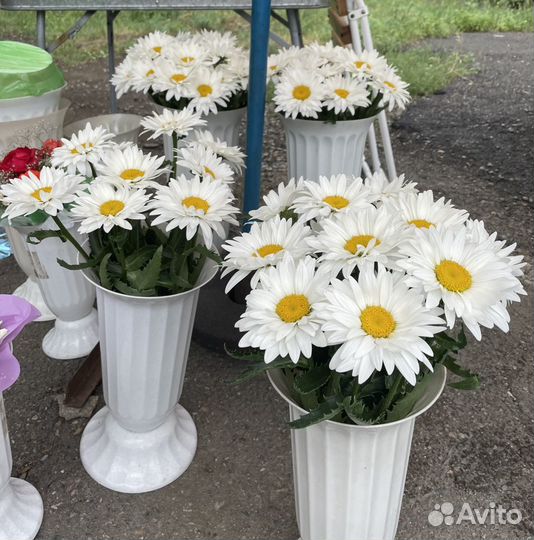 Цветы