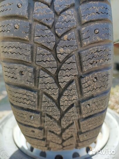 Tigar Sigura Stud 175/70 R13 82