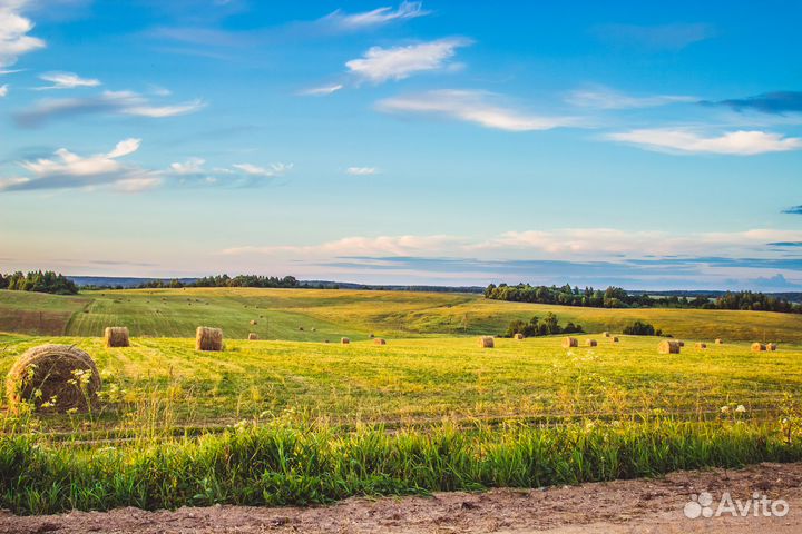 Скотник доярка / дояр