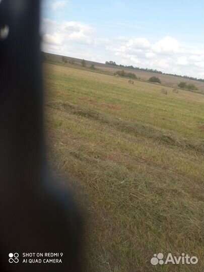Продам сено в рулонах