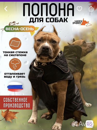 Попона для собак новая (комбинезон)