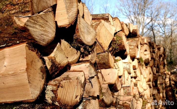 Дрова самовывоз