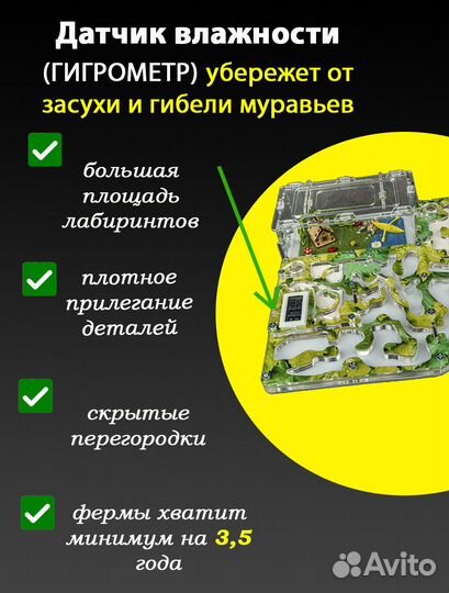 Муравьиная ферма (Формикарий) Макси c гигрометром
